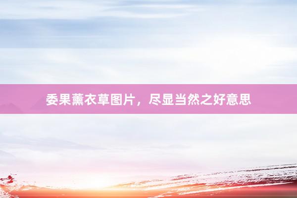 委果薰衣草图片，尽显当然之好意思