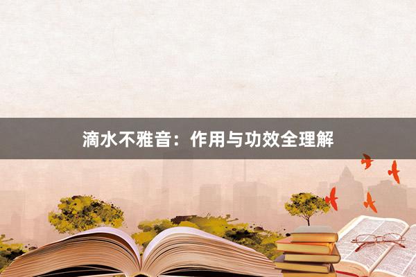 滴水不雅音：作用与功效全理解