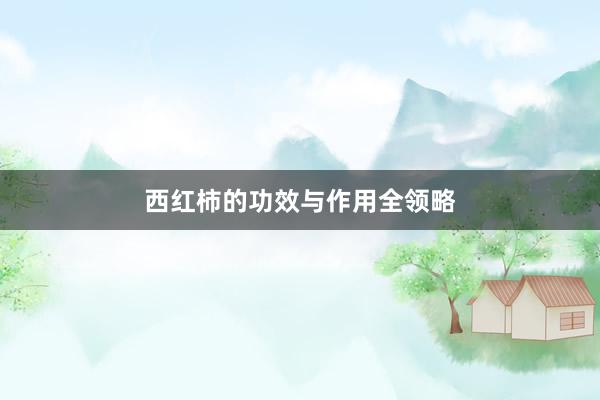 西红柿的功效与作用全领略